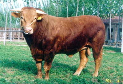 ��������(y��ng)��ľٝţ